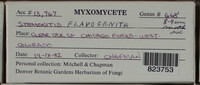 Image Associated With the Occurence